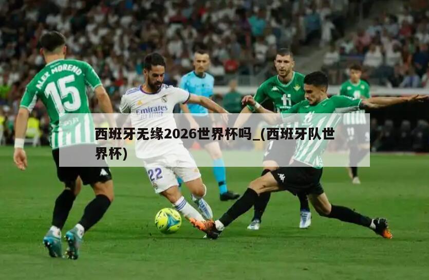 西班牙无缘2026世界杯吗_(西班牙队世界杯)