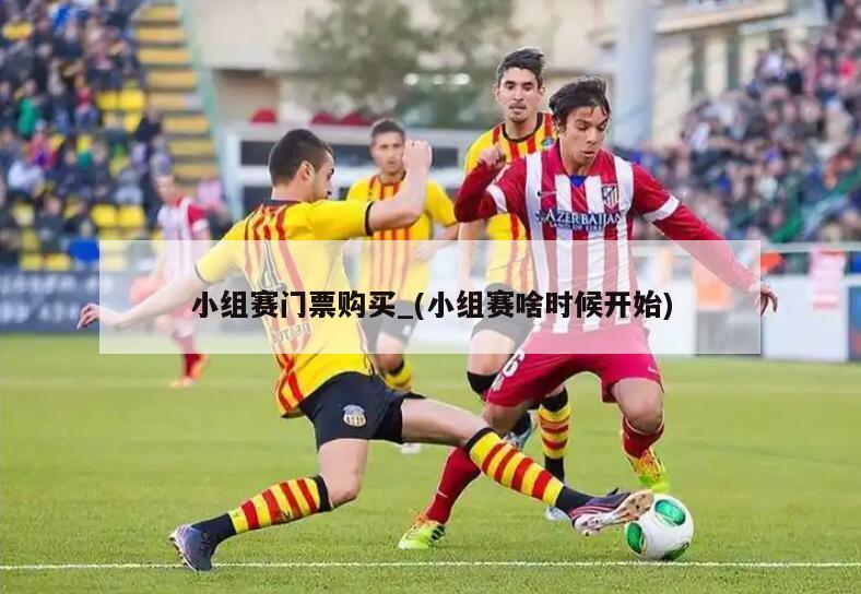 小组赛门票购买_(小组赛啥时候开始)