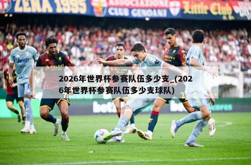 2026年世界杯参赛队伍多少支_(2026年世界杯参赛队伍多少支球队)