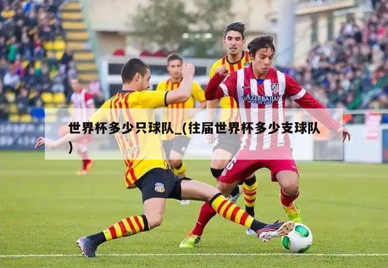 世界杯多少只球队_(往届世界杯多少支球队)