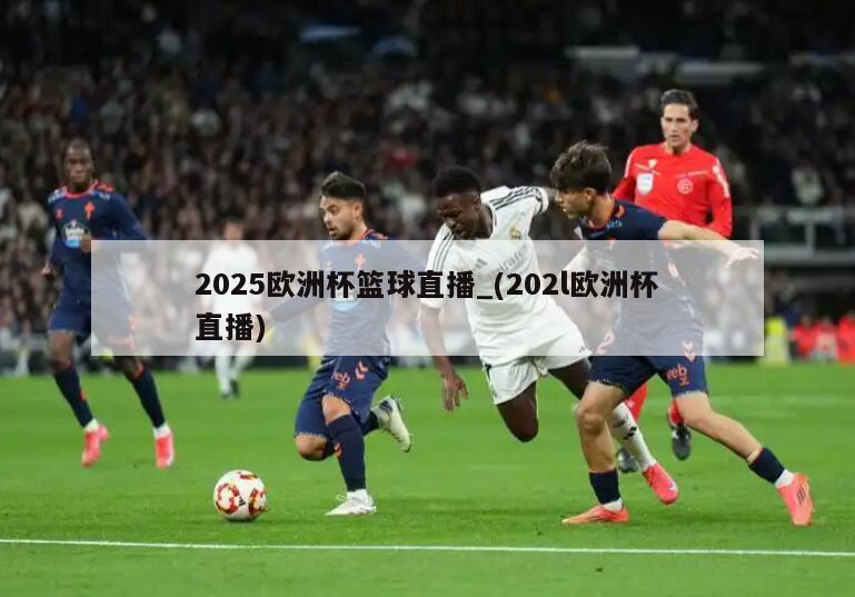 2025欧洲杯篮球直播_(202l欧洲杯直播)