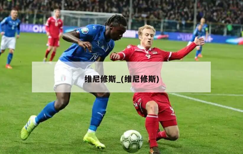 维尼修斯_(维尼修斯)