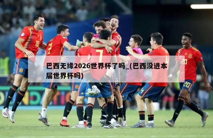巴西无缘2026世界杯了吗_(巴西没进本届世界杯吗)