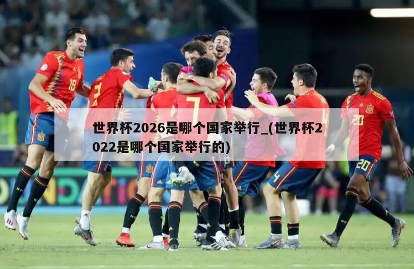 世界杯2026是哪个国家举行_(世界杯2022是哪个国家举行的)