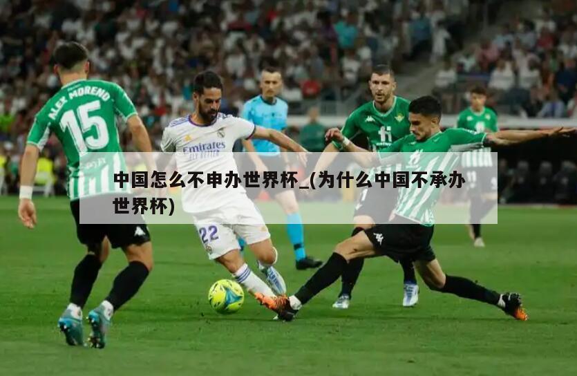 中国怎么不申办世界杯_(为什么中国不承办世界杯)