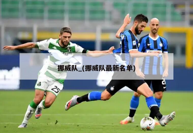 挪威队_(挪威队最新名单)