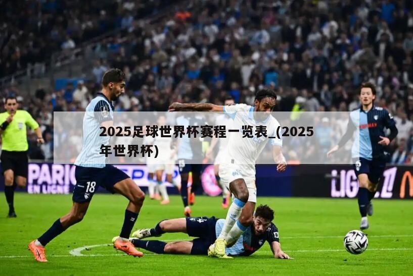 2025足球世界杯赛程一览表_(2025年世界杯)